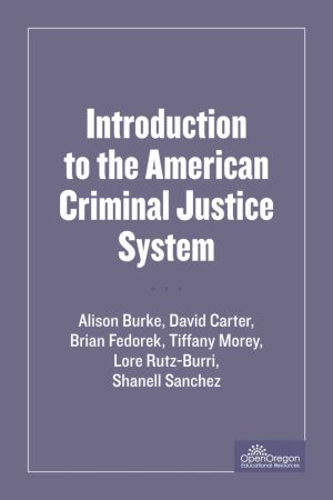 Introduction to the American Criminal Justice System