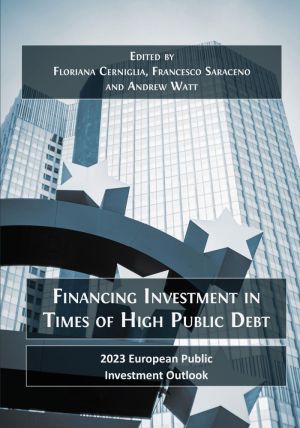 Financing Investment in Times of High Public Debt