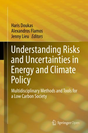 Understanding Risks and Uncertainties in Energy and Climate Policy