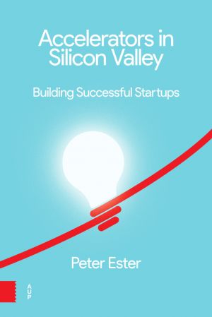 Accelerators in Silicon Valley